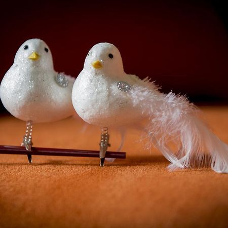 伊普尔Two White Pigeons别墅 客房 照片